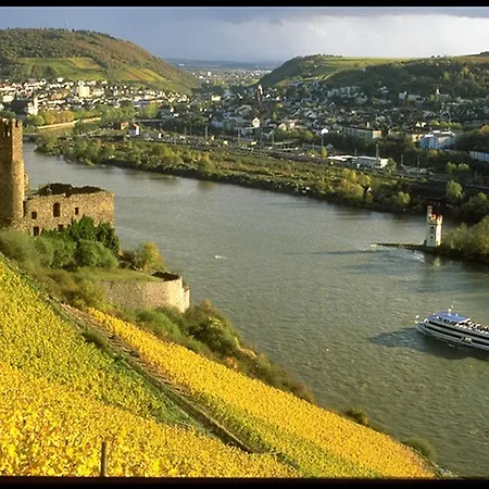 Hotel Rheinhotel Lamm