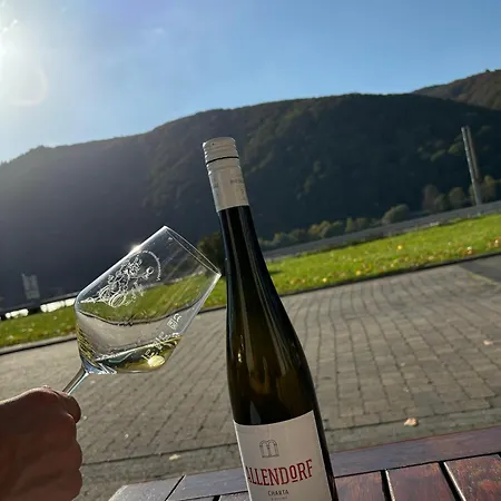 Rheinhotel Lamm Otel