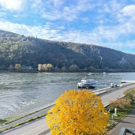 Otel Rheinhotel Lamm