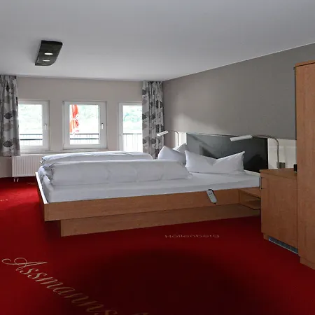 Hotel Rheinhotel Lamm