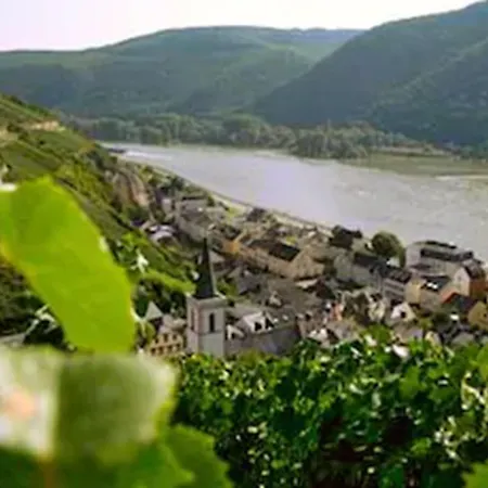 Otel Rheinhotel Lamm