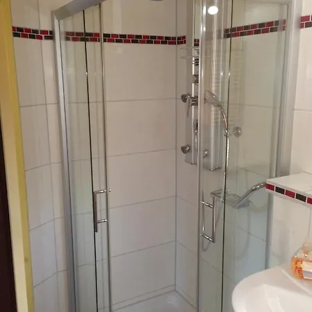 Rheinhotel Lamm Otel 3*