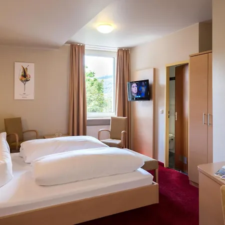 Rheinhotel Lamm Otel 3*