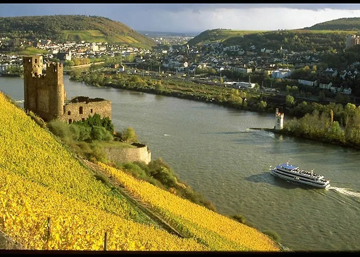 Hotel Rheinhotel Lamm