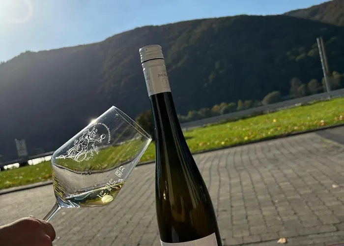 Rheinhotel Lamm מלון