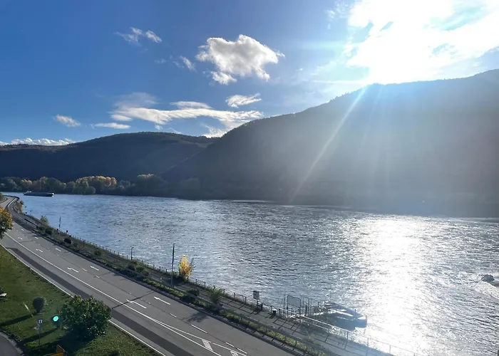 Rheinhotel Lamm מלון רודסהיים אם ריין