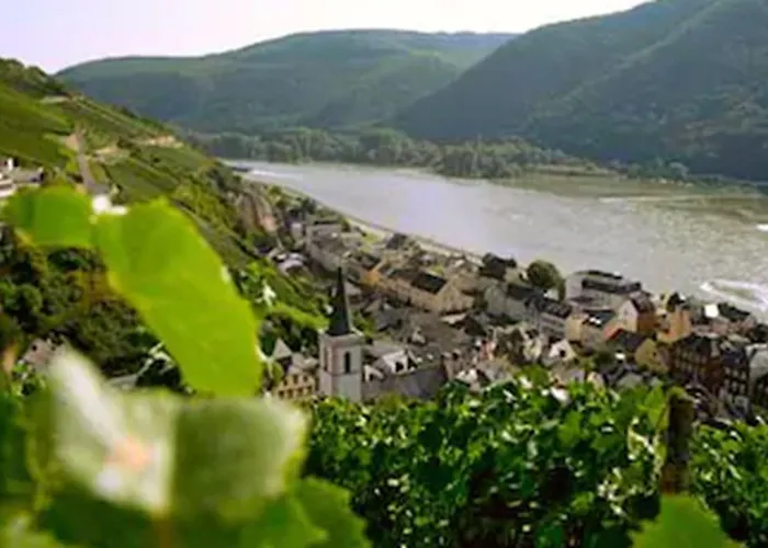 Hotel Rheinhotel Lamm