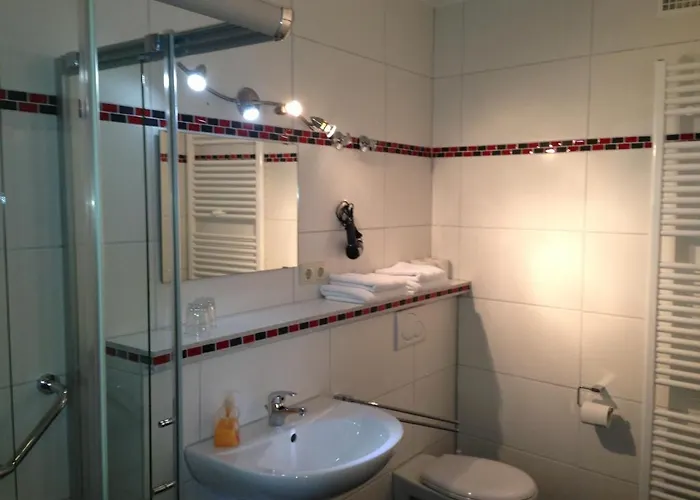 Hotel Rheinhotel Lamm 3*