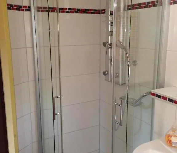 Rheinhotel Lamm מלון 3*