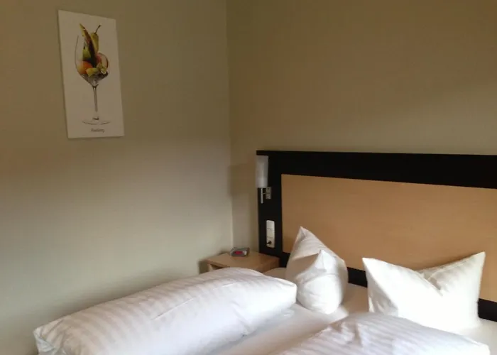 Rheinhotel Lamm 3* רודסהיים אם ריין