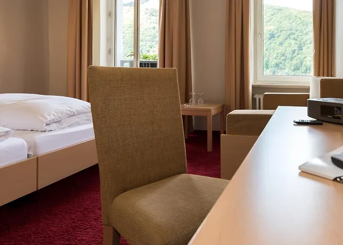 Rheinhotel Lamm מלון 3*